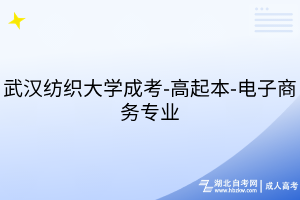武汉纺织大学成考-高起本-电子商务专业