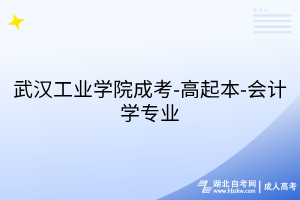 武汉工业学院成考-高起本-会计学专业