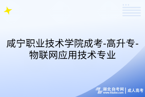 咸宁职业技术学院成考-高升专-物联网应用技术专业