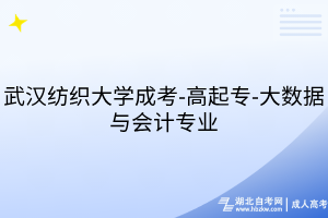 武汉纺织大学成考-高起专-大数据与会计专业