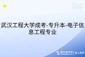 武汉工程大学成考-专升本-电子信息工程专业