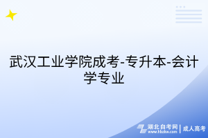 武汉工业学院成考-专升本-会计学专业