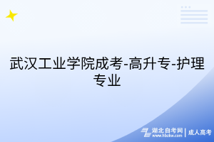 武汉工业学院成考-高升专-护理专业