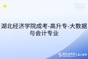 湖北经济学院成考-高升专-大数据与会计专业
