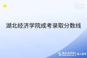湖北经济学院成考录取分数线