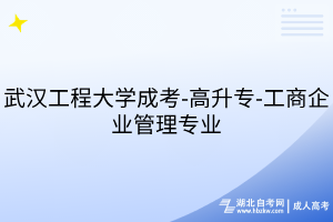 武汉工程大学成考-高升专-工商企业管理专业