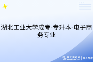 湖北工业大学成考-专升本-电子商务专业