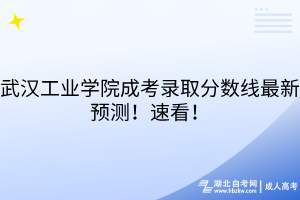 武汉工业学院成考录取分数线最新预测！速看！