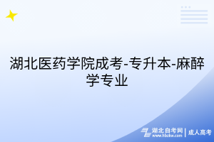 湖北医药学院成考-专升本-麻醉学专业