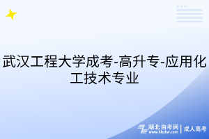武汉工程大学成考-高升专-应用化工技术专业