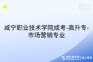 咸宁职业技术学院成考-高升专-市场营销专业