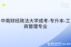 中南财经政法大学成考-专升本-工商管理专业