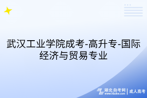 武汉工业学院成考-高升专-国际经济与贸易专业