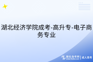 湖北经济学院成考-高升专-电子商务专业