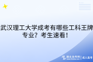 武汉理工大学成考有哪些工科王牌专业?考生速看!