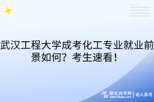 武汉工程大学成考化工专业就业前景如何?考生速看!