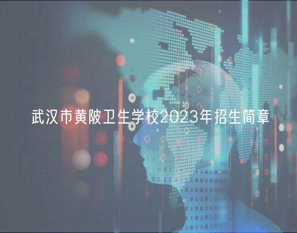 武汉市黄陂卫生学校2023年招生简章