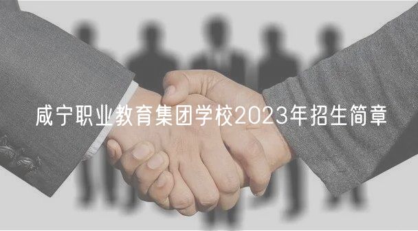 咸宁职业教育集团学校2023年招生简章