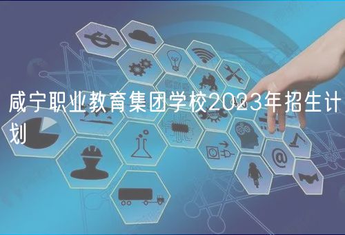 咸宁职业教育集团学校2023年招生计划