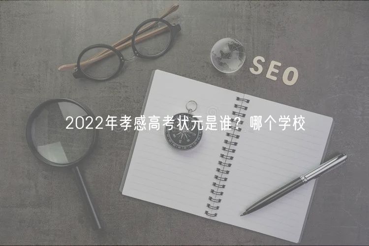 2022年孝感高考状元是谁？哪个学校