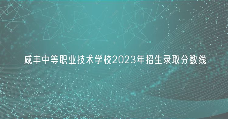 咸丰中等职业技术学校2023年招生录取分数线