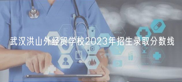 武汉洪山外经贸学校2023年招生录取分数线