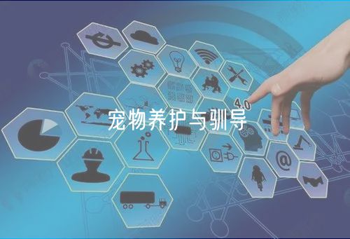 宠物养护与驯导 宠物养护与驯导