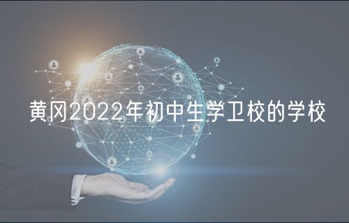 黄冈2022年初中生学卫校的学校