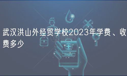 武汉洪山外经贸学校2023年学费、收费多少