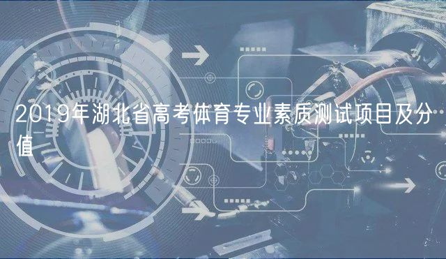 2019年湖北省高考体育专业素质测试项目及分值