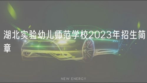 湖北实验幼儿师范学校2023年招生简章