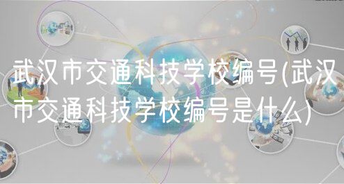 武汉市交通科技学校编号(武汉市交通科技学校编号是什么)