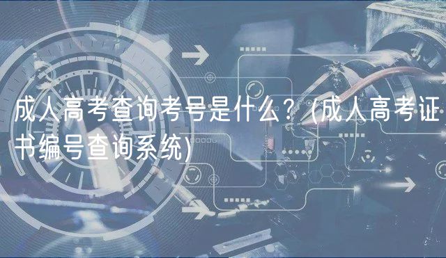 成人高考查询考号是什么？(成人高考证书编号查询系统)