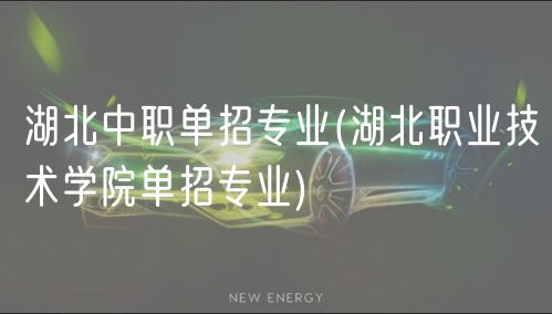 湖北中职单招专业(湖北职业技术学院单招专业)