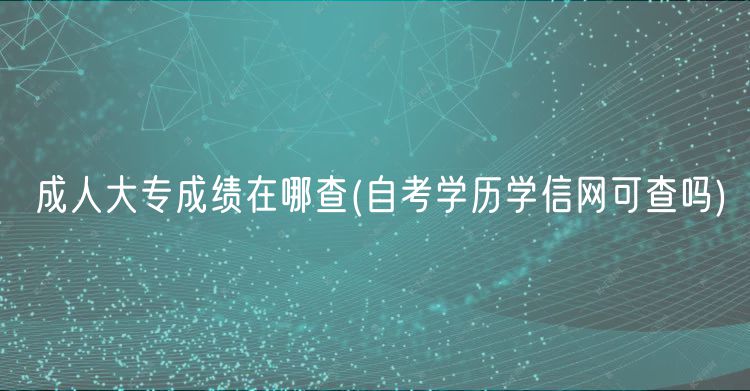 成人大专成绩在哪查(自考学历学信网可查吗)