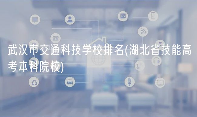 武汉市交通科技学校排名(湖北省技能高考本科院校)