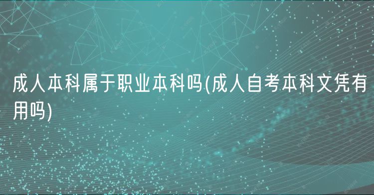成人本科属于职业本科吗(成人自考本科文凭有用吗)