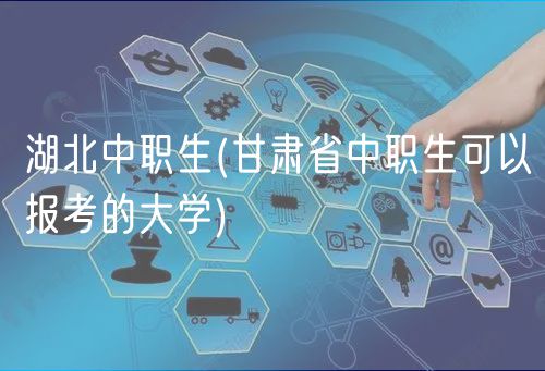 湖北中职生(湖北省中职生可以报考的大学)