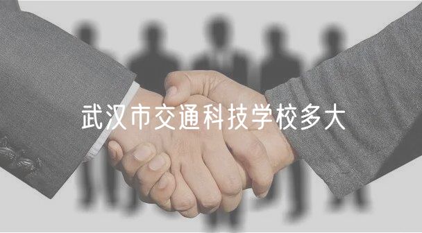 武汉市交通科技学校多大