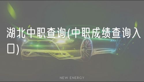 湖北中职查询(中职成绩查询入口)
