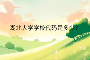 湖北大学学校代码是多少？