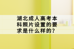 湖北成人高考本科照片设置的要求是什么样的？