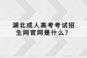 湖北成人高考考试招生网官网是什么？