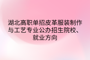 湖北高职单招皮革服装制作与工艺专业公办招生院校、就业方向