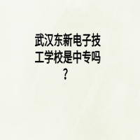 武汉东新电子技工学校是中专吗？
