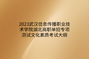 2023武汉信息传播职业技术学院湖北高职单招专项测试文化素质考试大纲