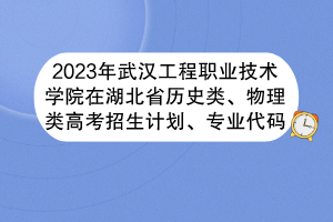 2023年武汉工程职业技术学院在湖北省历史类、物理类高考招生计划、专业代码