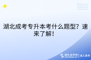 湖北成考专升本考什么题型？速来了解！