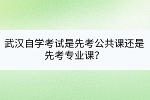 武汉自学考试是先考公共课还是先考专业课？