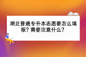 湖北普通专升本志愿要怎么填报？需要注意什么？